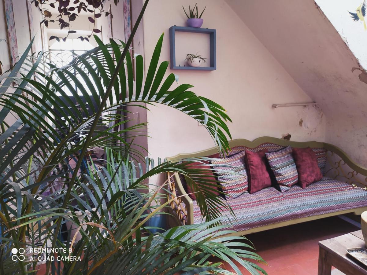 Casa Atenas (Adults Only) Γκουανταλαχάρα Εξωτερικό φωτογραφία